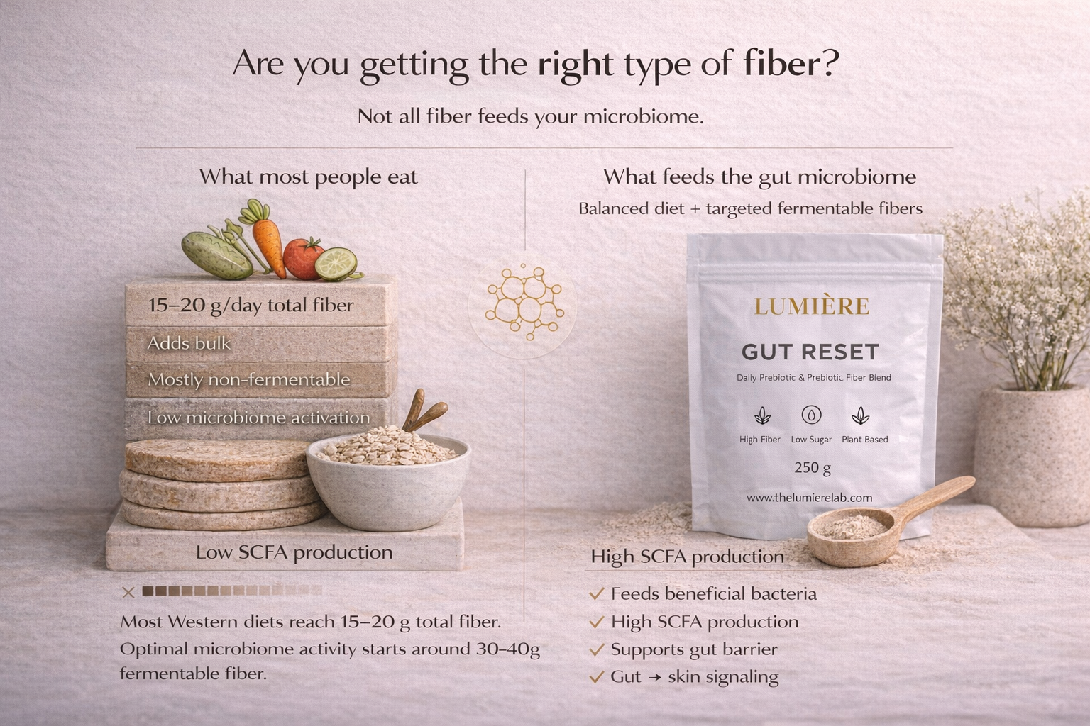 Split-comparison visual showing the a difference between typical fiber intake and microbiome-targeted fiber.