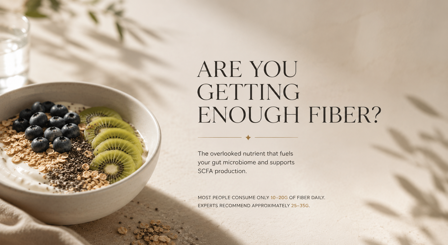 The Complete Guide to Fiber